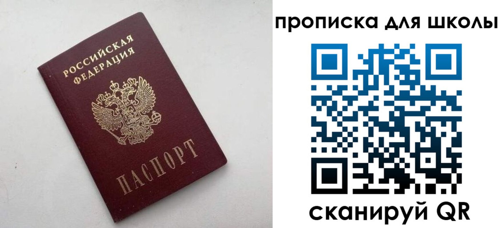 прописка в квартире в Дубне